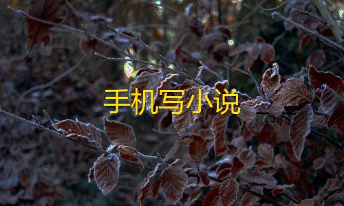 暗区突围iPhone版本掌上高考手机版